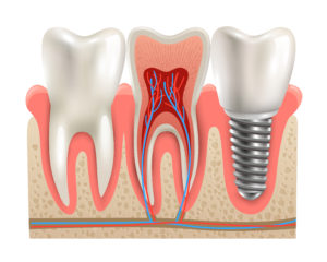 Banner vector created by macrovector - www.freepik.com